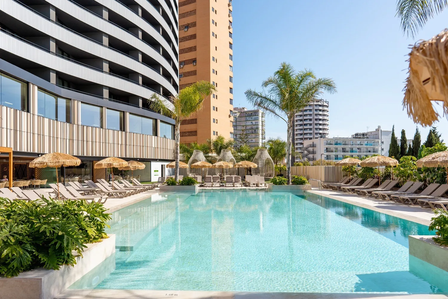 Piscina rodeada de palmeras y tumbonas en el Hotel Primavera Park de Benidorm